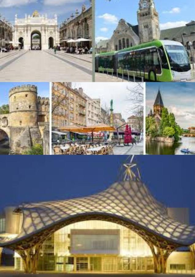 Le Muse Quartier Ville Proche Transport Parking Prive Un-Sejour-A-Part Metz Exterior foto